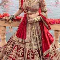 Women Handloom design Sari Lehenga
