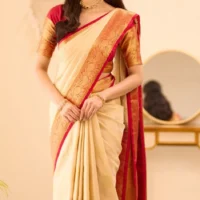 Red border gold zari work or patterns silk or semi-silk fabric and Red blouse