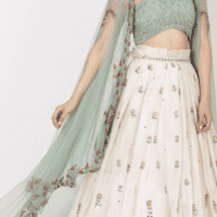 Indian Women Lehenga set