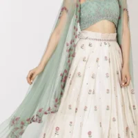 Embroidered Lehenga Set Blue