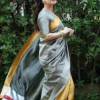 Chanderi Handloom Pattu Silk Mashru Borders Saree