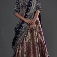 Banarasi Bridal Lehenga set