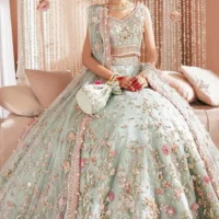 Wonderful Multicolor Colour Heavy lehenga