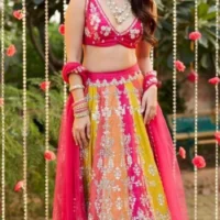 Multi color Raw Silk V-Neck Embroiberd Lehenga set