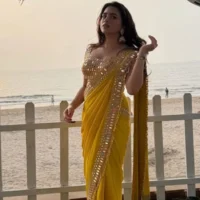 Embroidery Yellow saree special Haldi